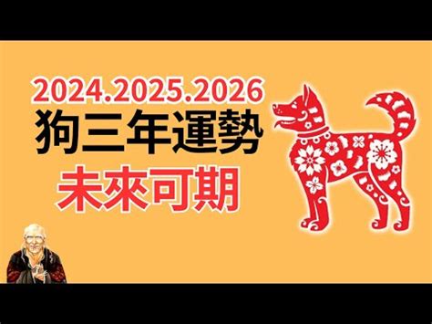 1982屬狗幸運數字|【82年屬狗的人幸運數字】